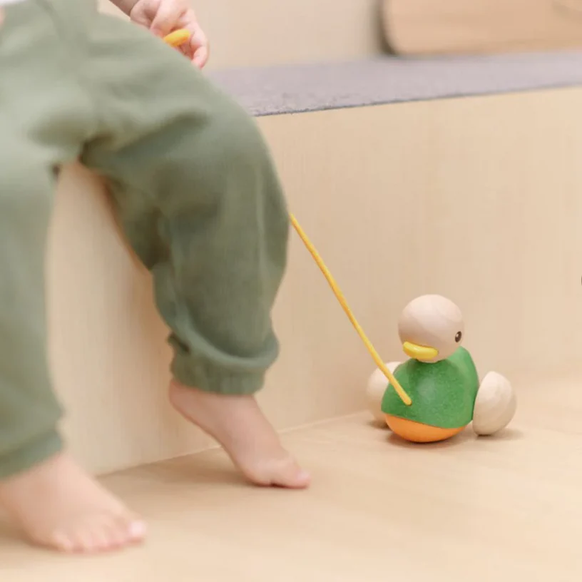 Pull Along Duck - Image 4