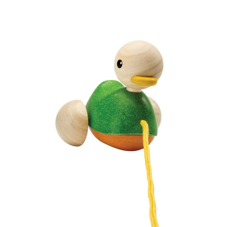 Pull Along Duck - Image 8