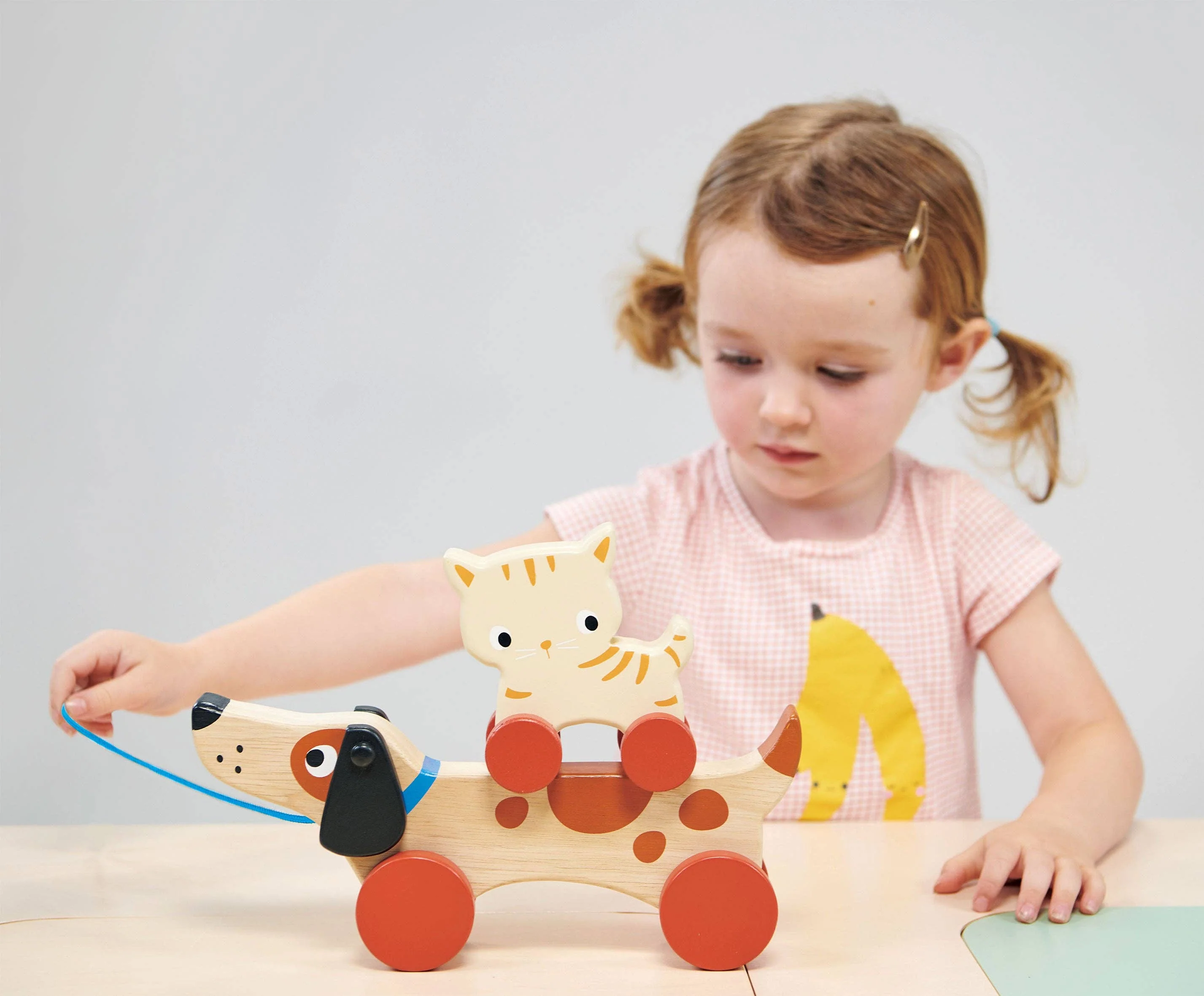 Puppy on Wheels - Image 5