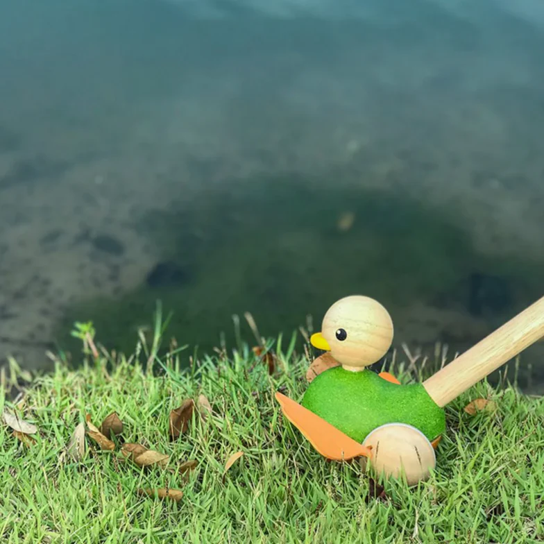 Push Along Duck - Image 2