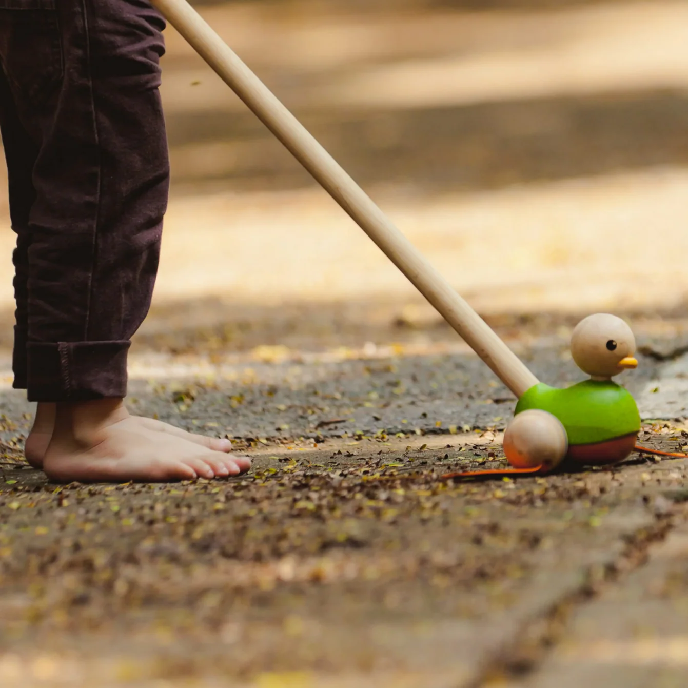 Push Along Duck - Image 4