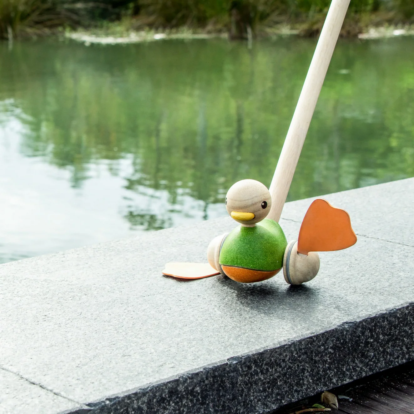Push Along Duck - Image 5