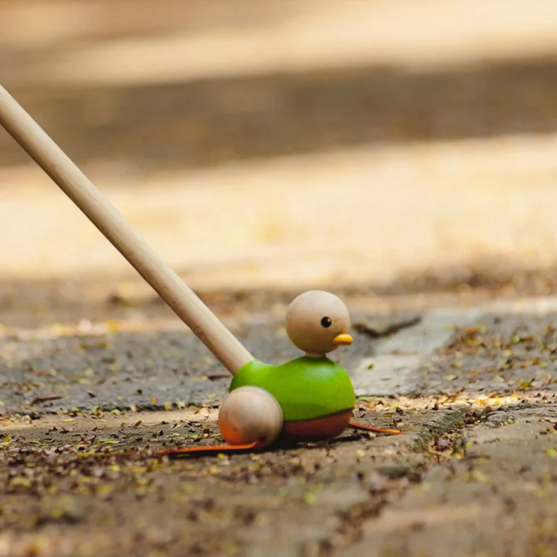 Push Along Duck - Image 6