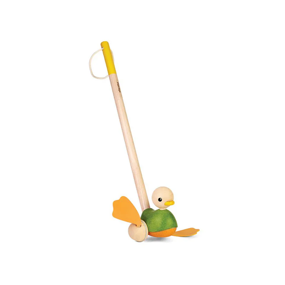 Push Along Duck - Image 8