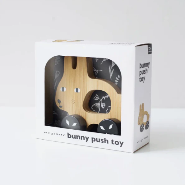 Push Toy - Bunny - Image 4