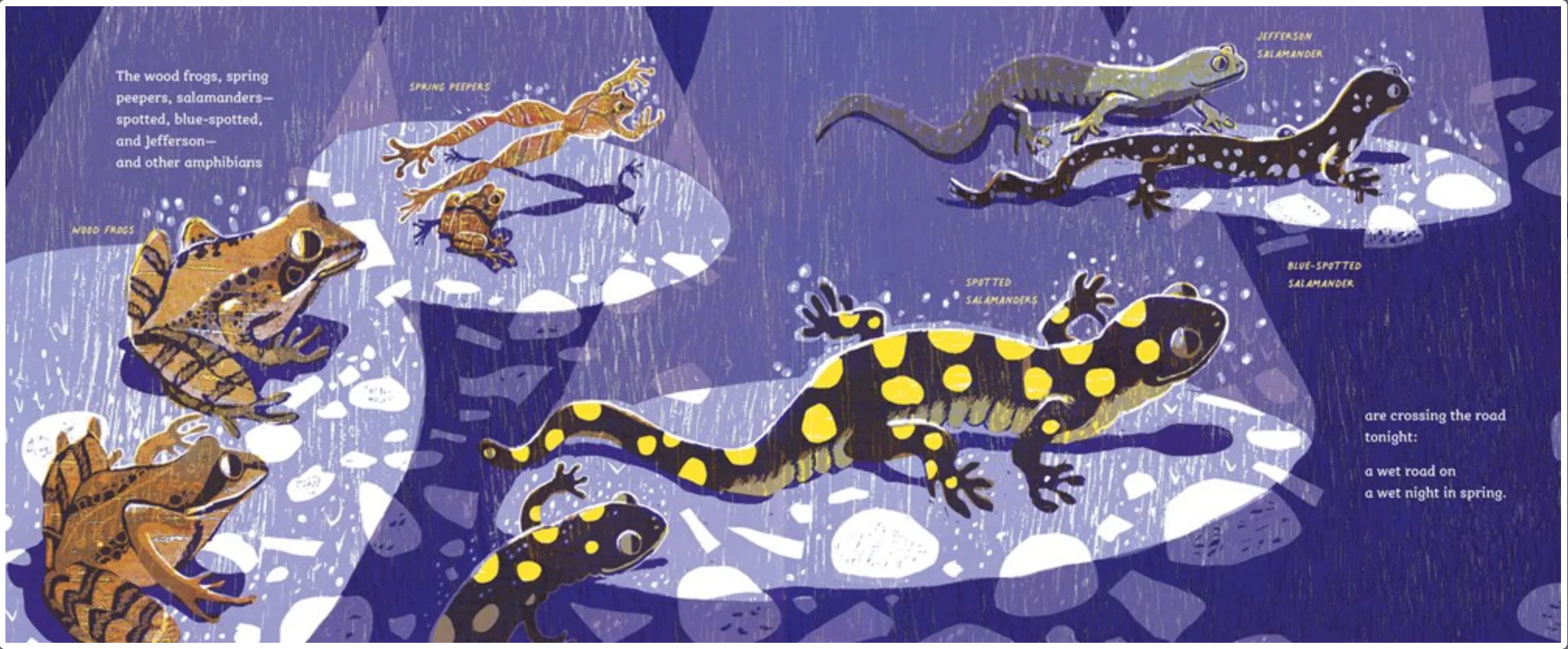 Safe Crossing - Image 5