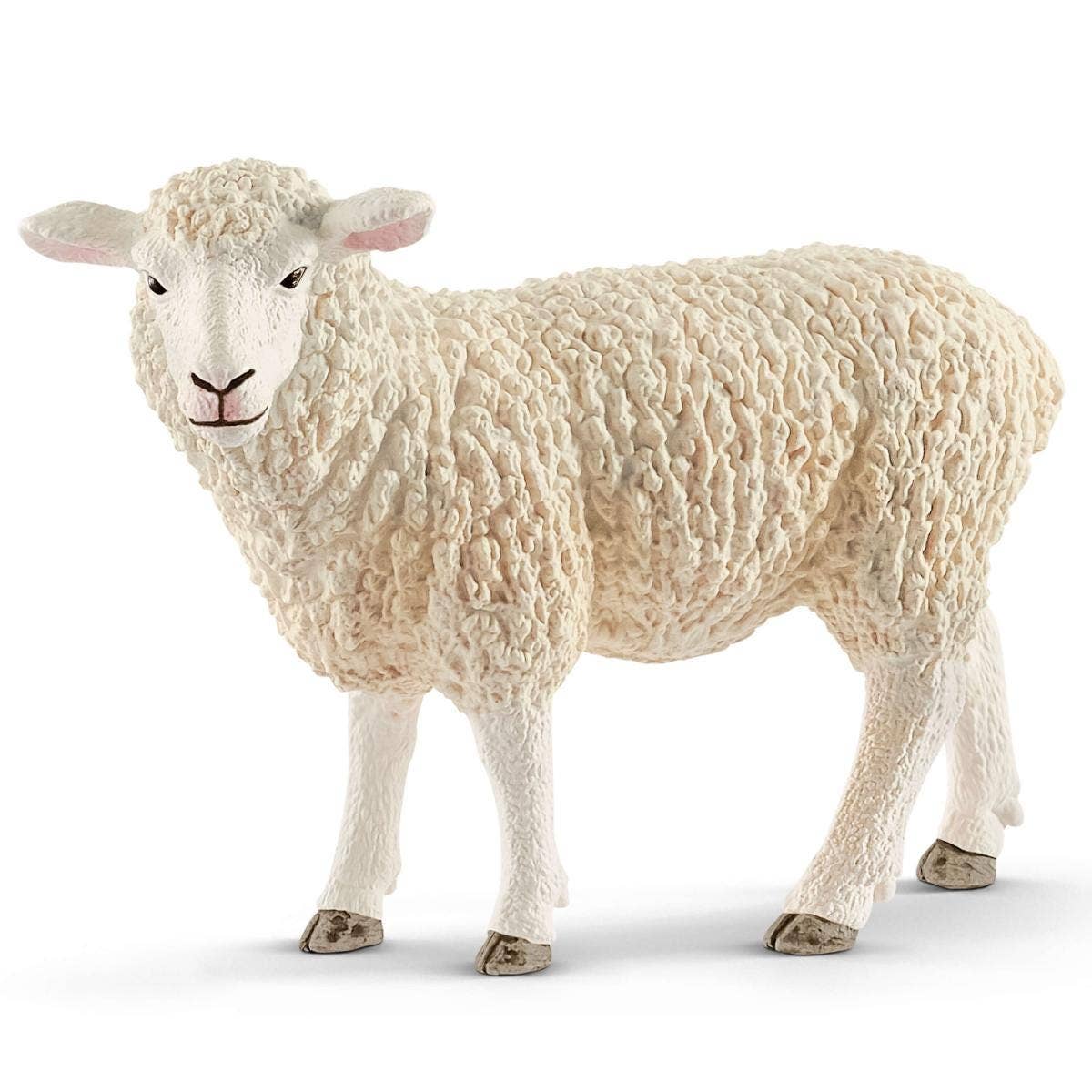 Sheep Farm