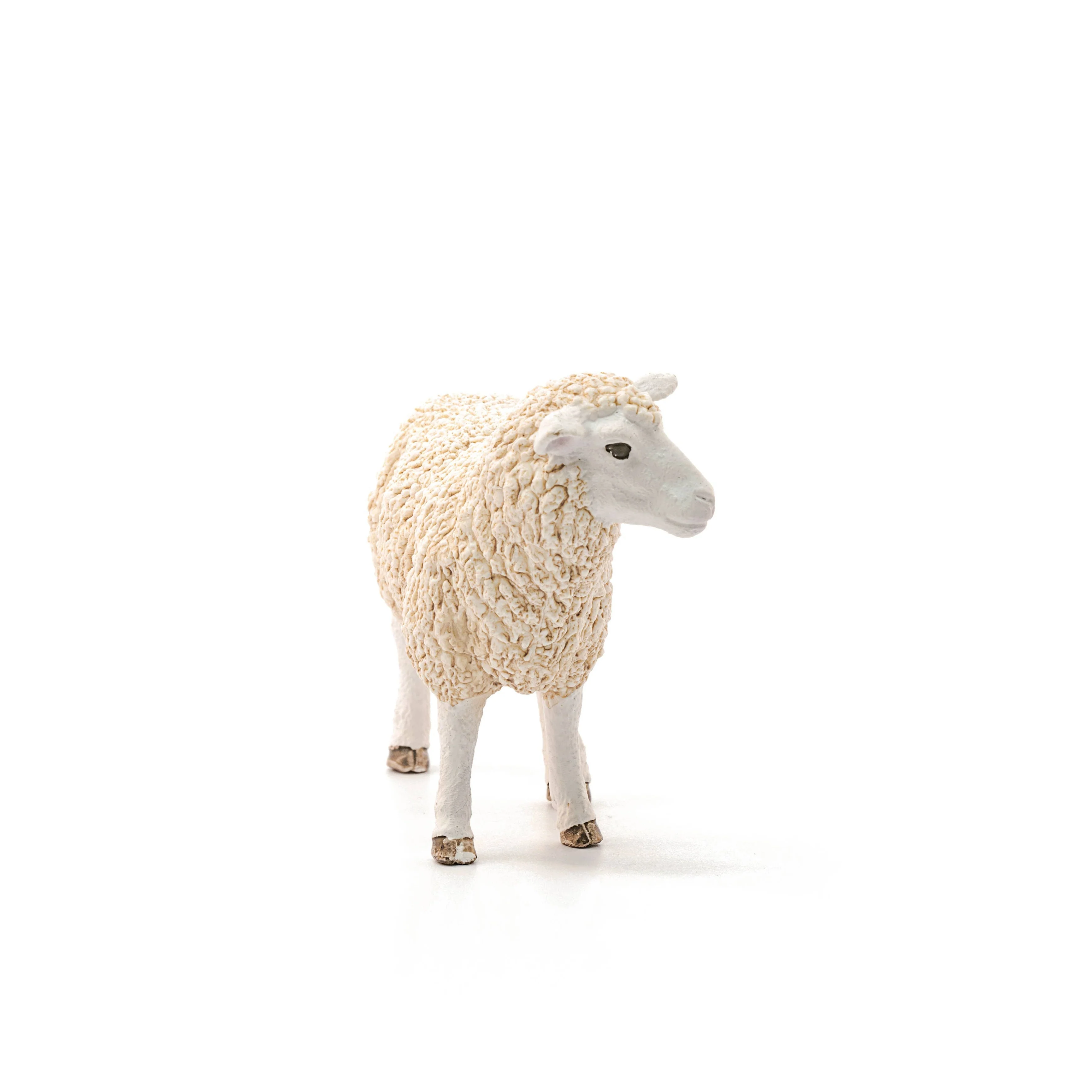Sheep Farm - Image 2