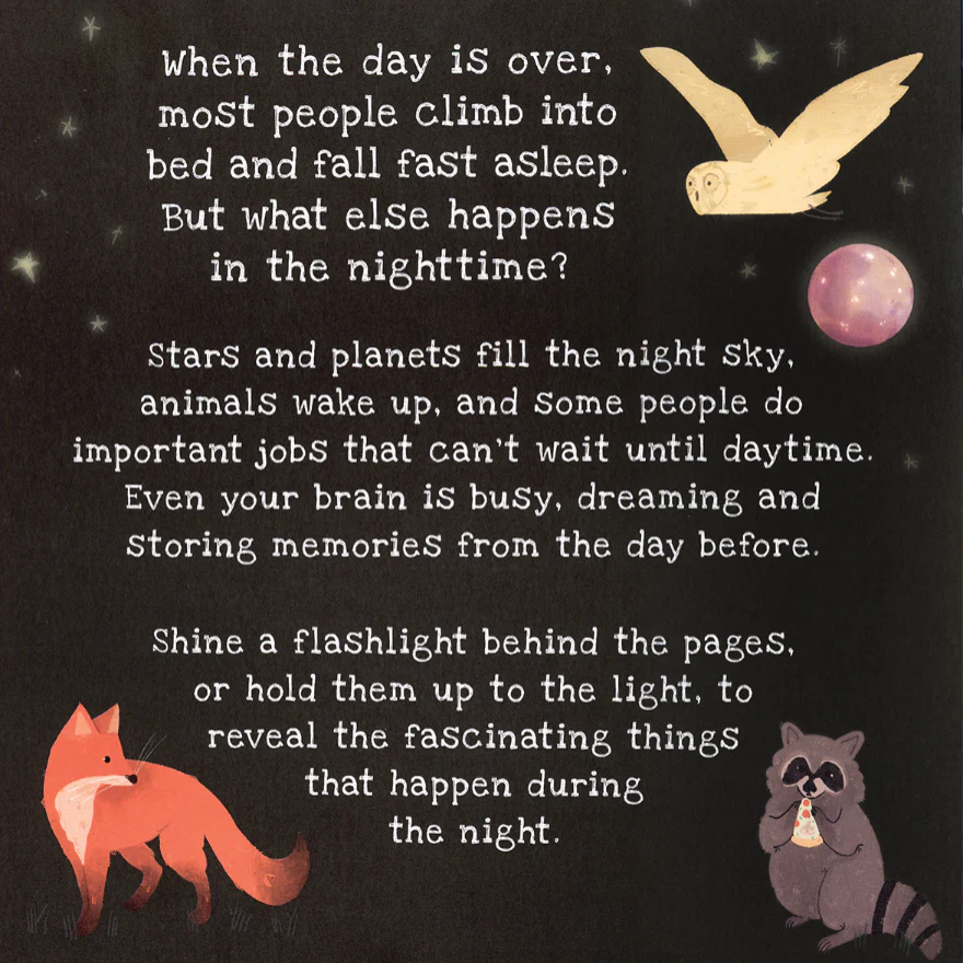 Shine-A-Light: Nighttime - Image 2