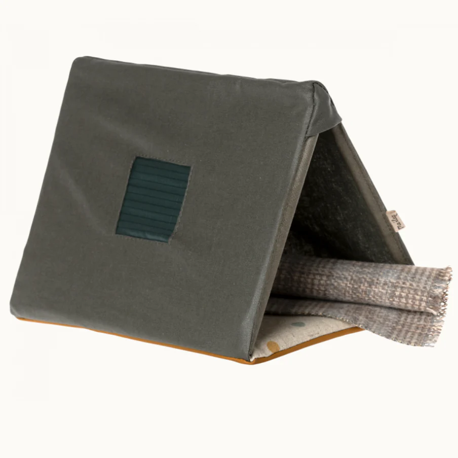Single Tent for Mouse