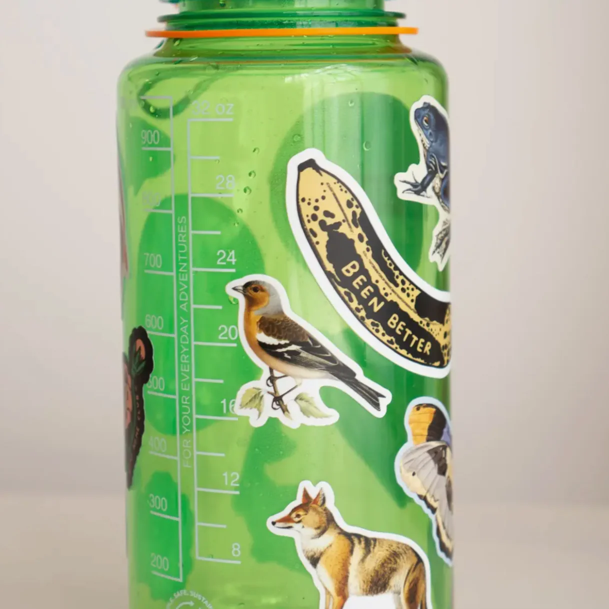 Skeptical Jackal - Gap Filler Sticker - Image 2