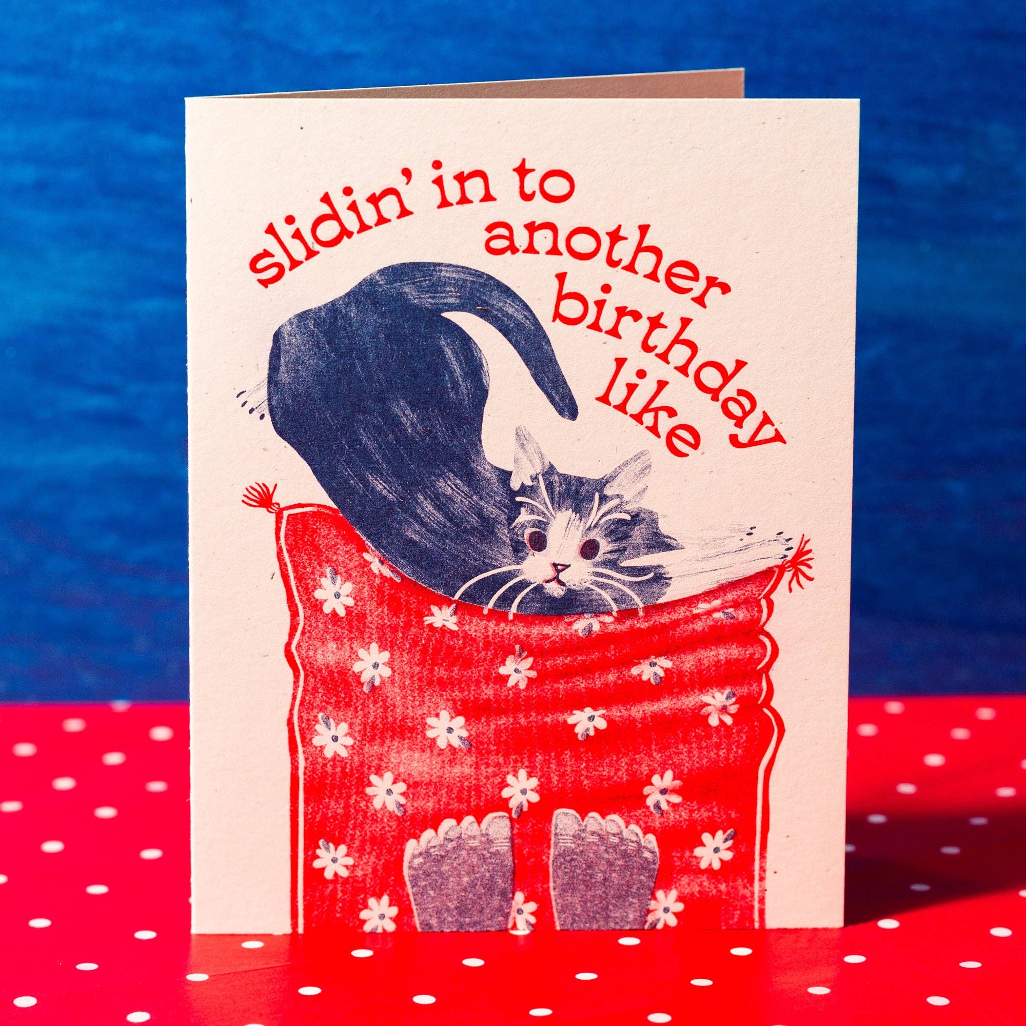 Slidin' In To Another Birthday Cat - Risograph Card - Image 3