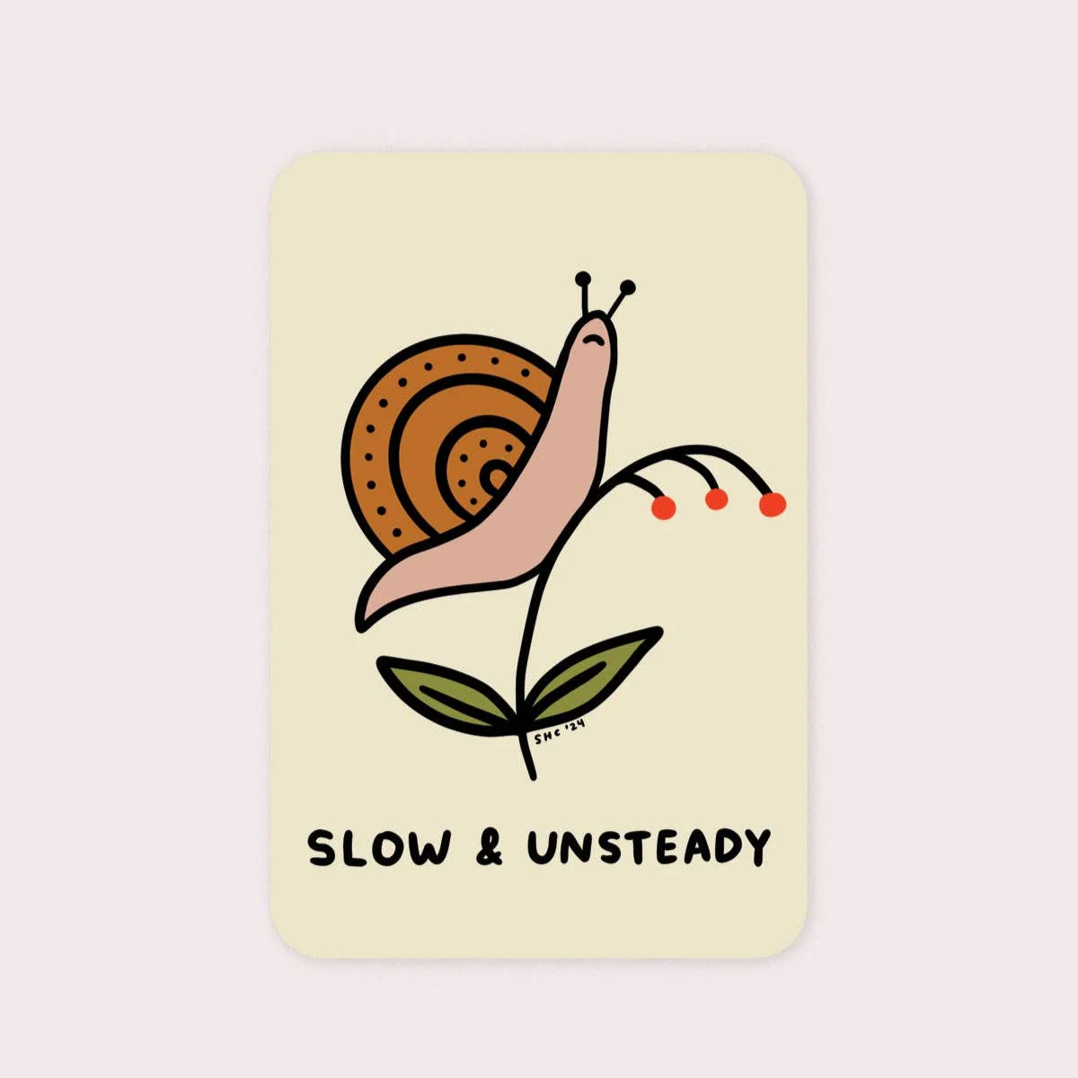Slow and Unsteady Vinyl Sticker