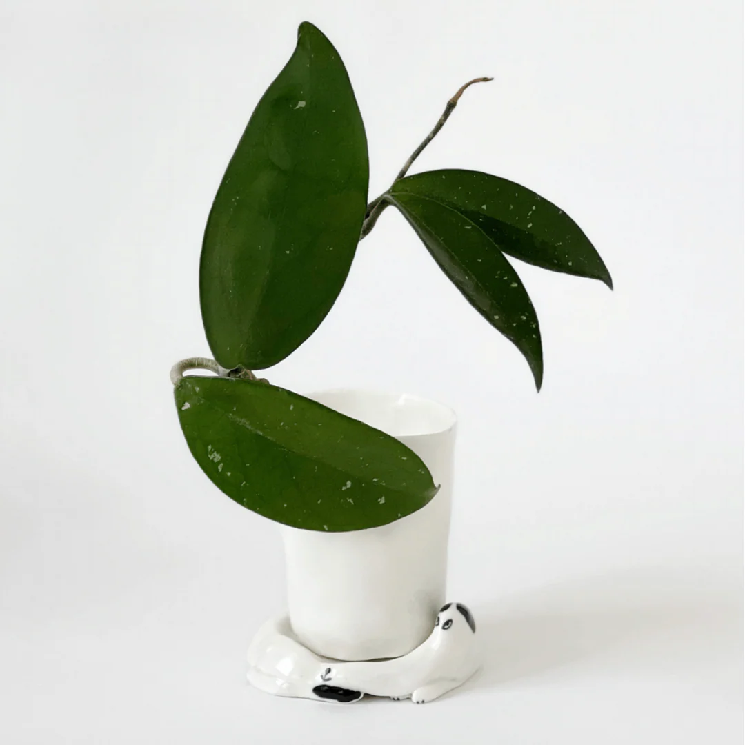 Small Pot Dog -Eleonor Boström - Image 3