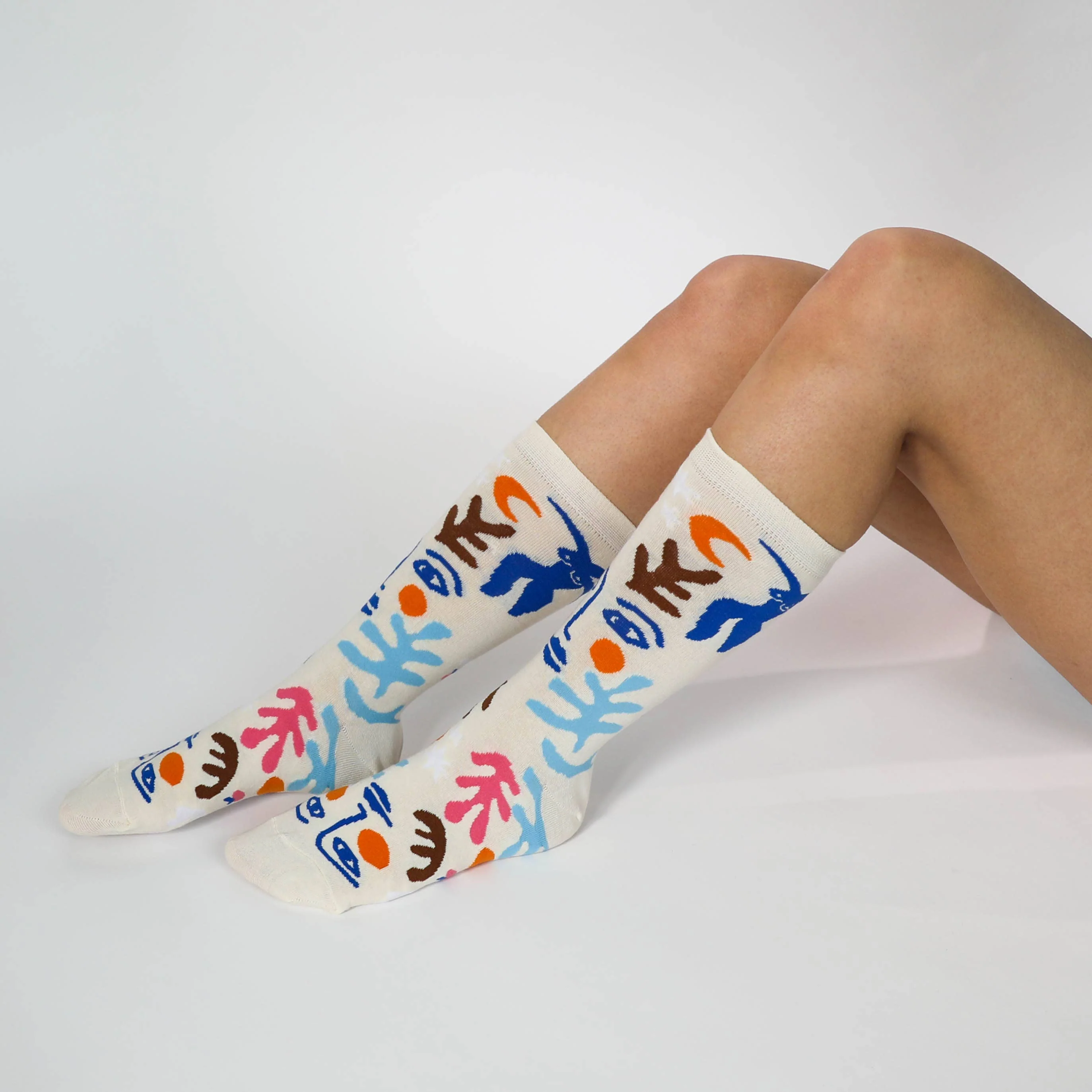 Small Socks - Matisse Art Socks