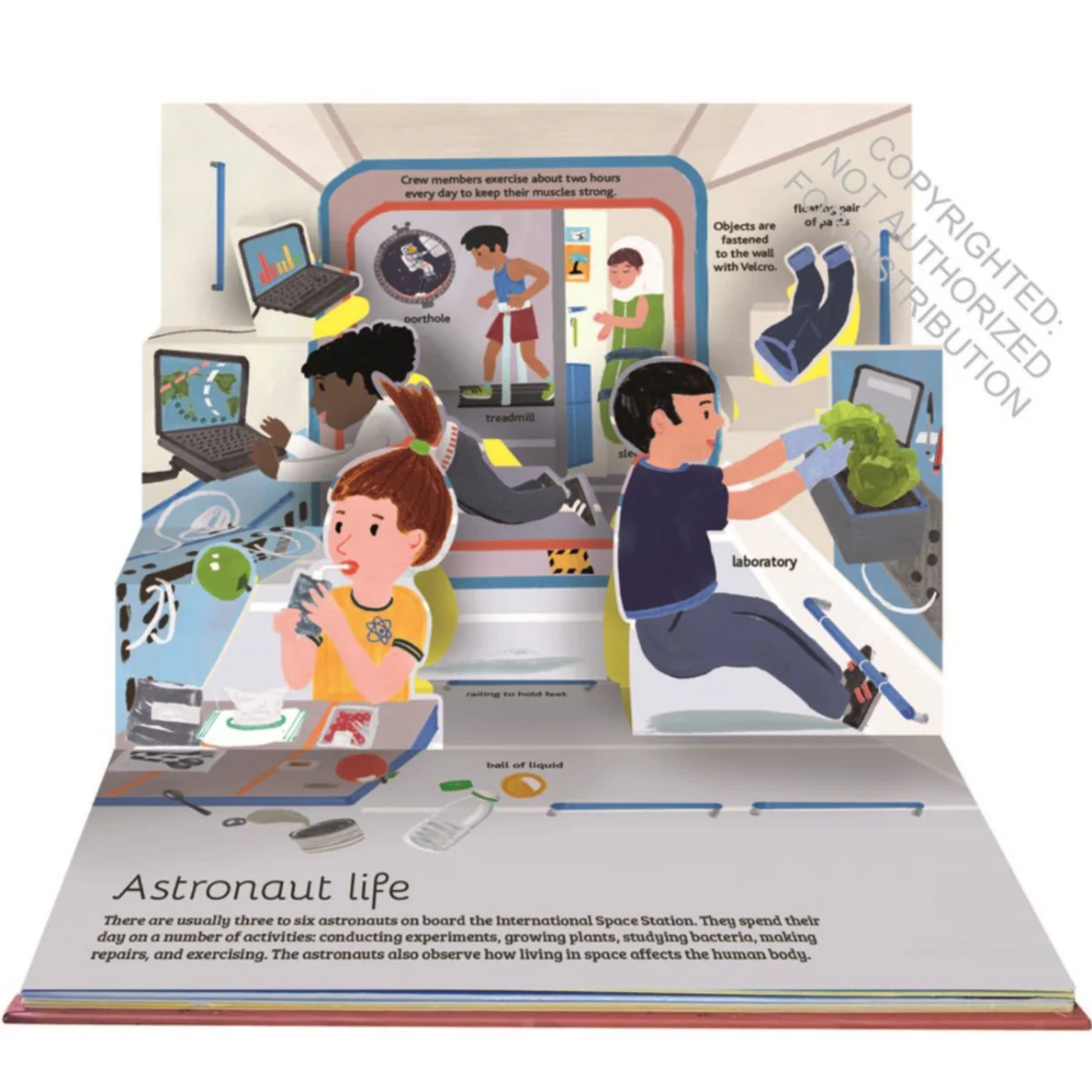 Space: The Pop-Up Guide - Image 2