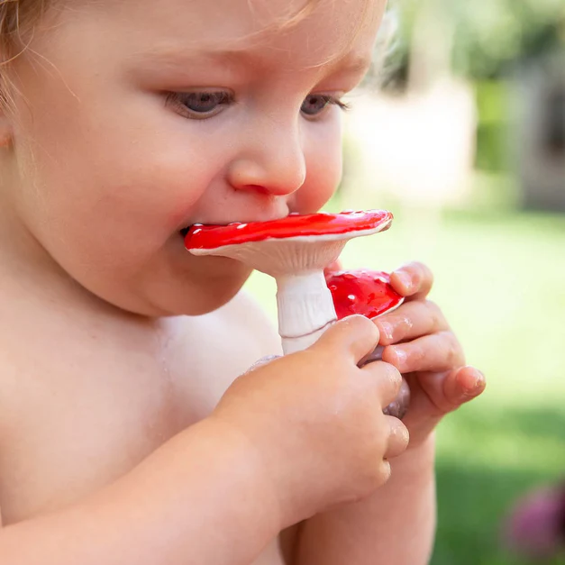 Spot The Mushroom Teether - Image 2
