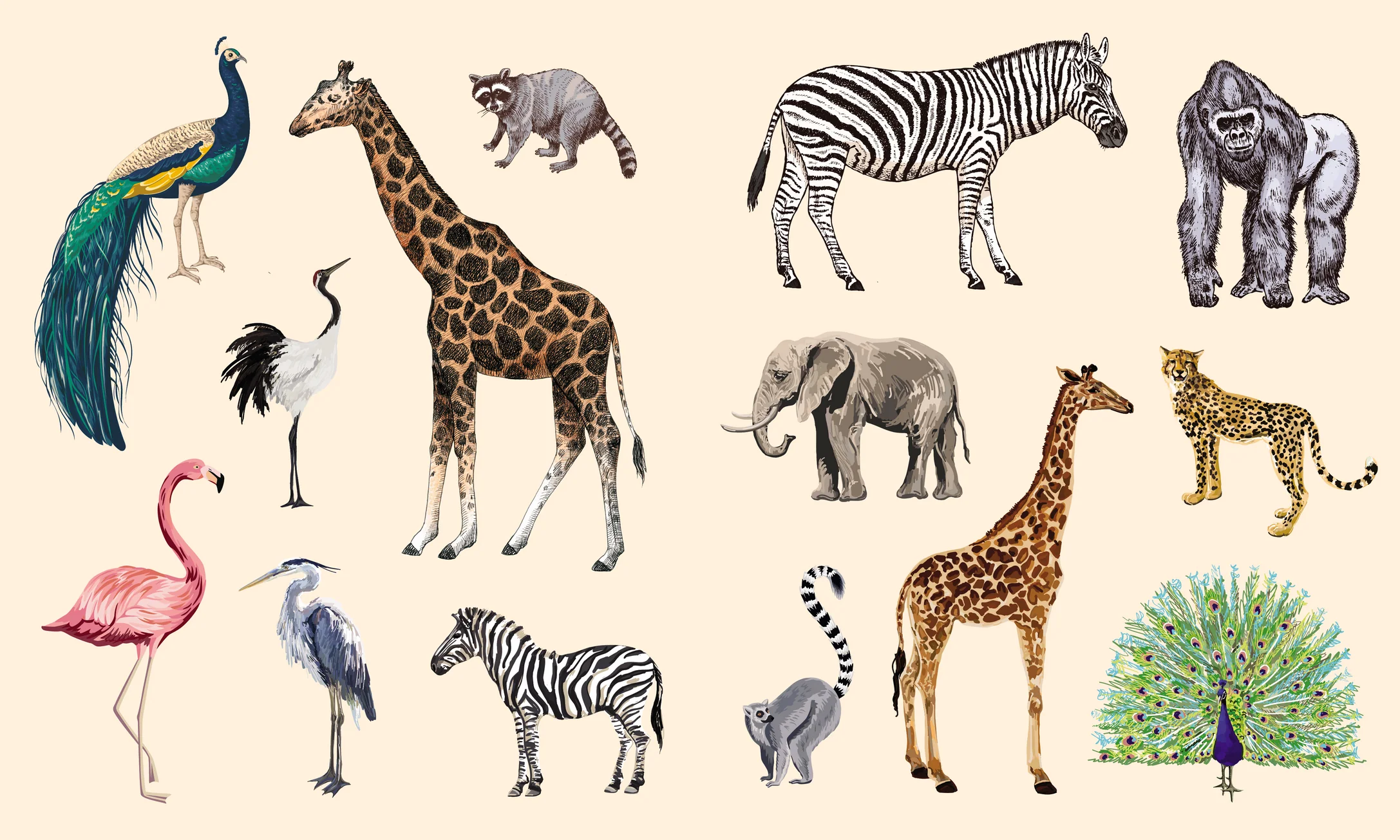 Sticker Studio: Menagerie - Animal Kingdom Gallery - Image 2