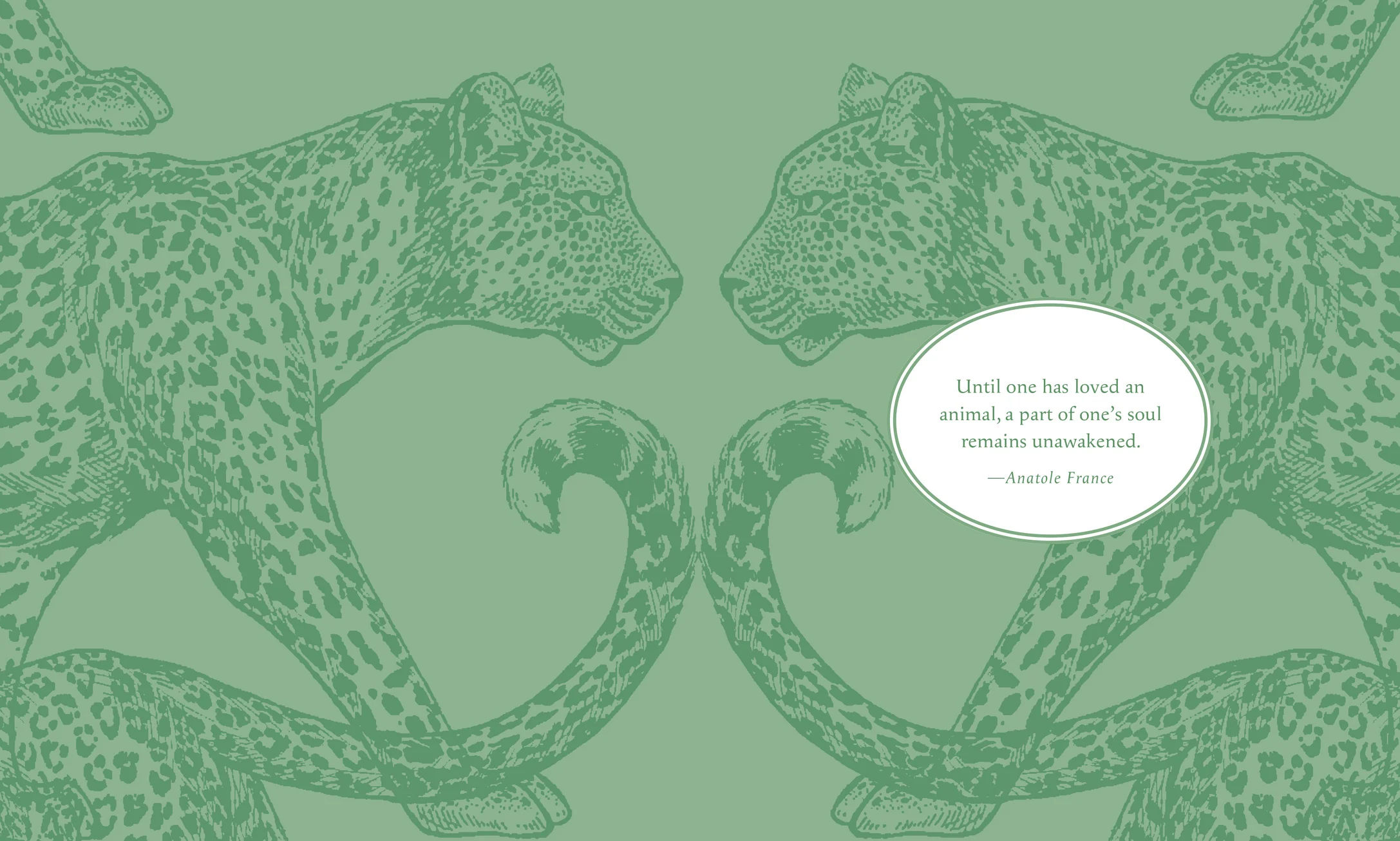 Sticker Studio: Menagerie - Animal Kingdom Gallery - Image 3
