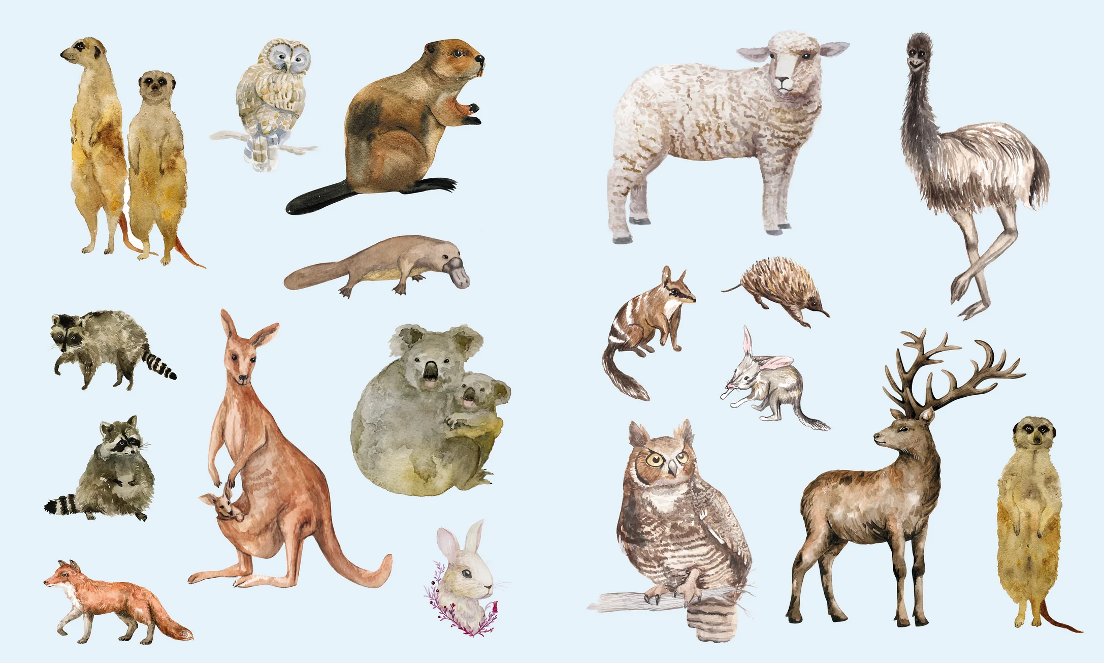 Sticker Studio: Menagerie - Animal Kingdom Gallery - Image 4