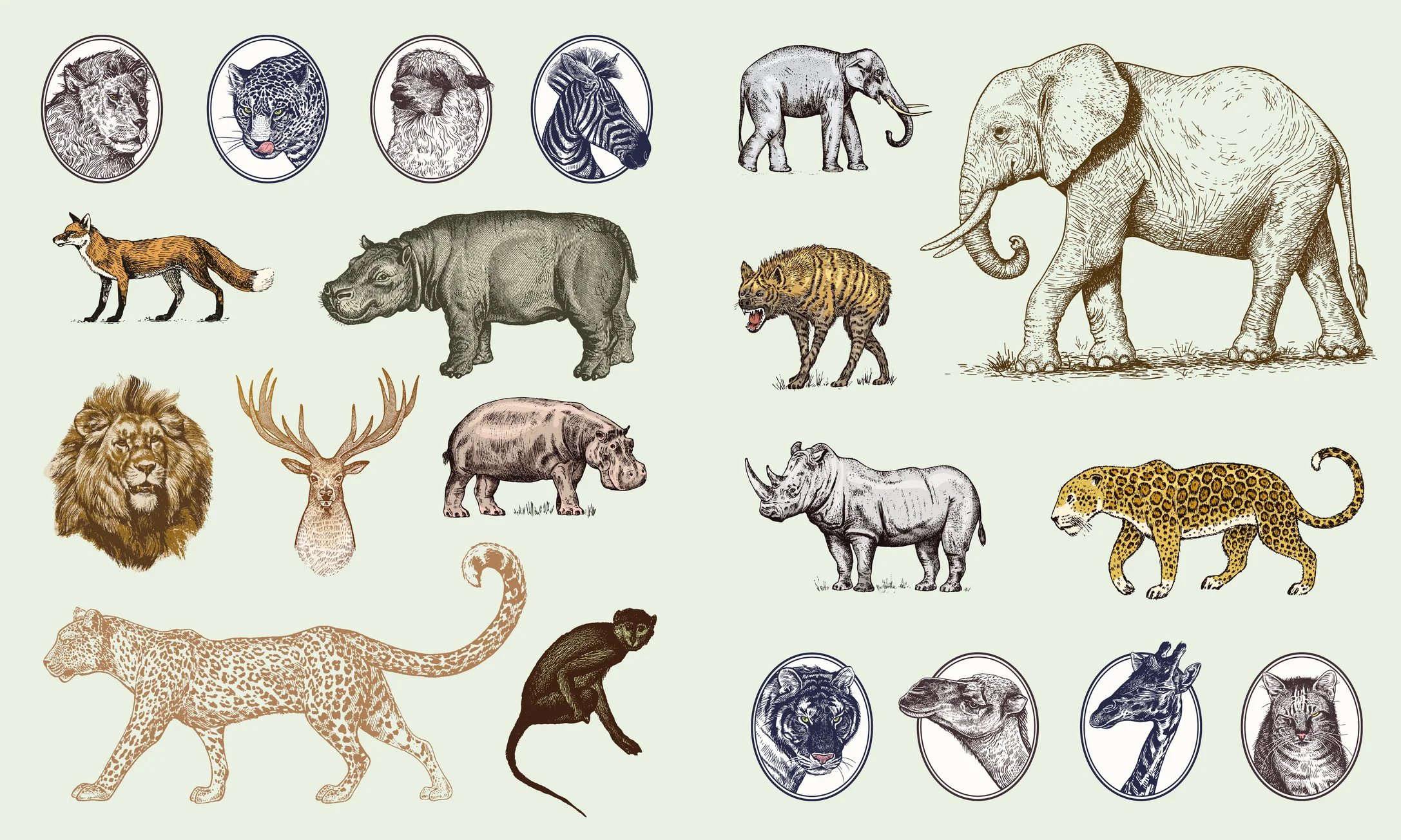 Sticker Studio: Menagerie - Animal Kingdom Gallery - Image 6