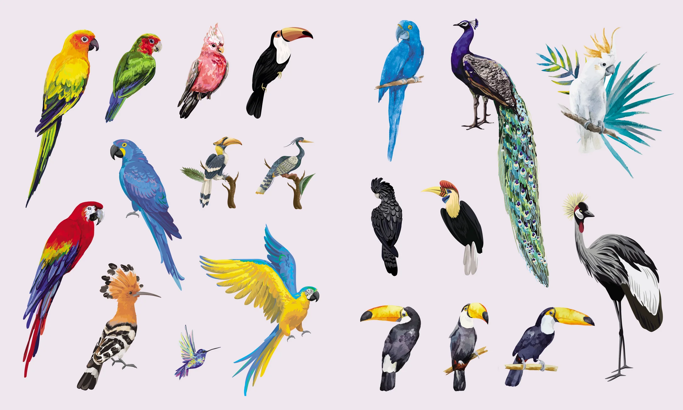 Sticker Studio: Menagerie - Animal Kingdom Gallery - Image 8