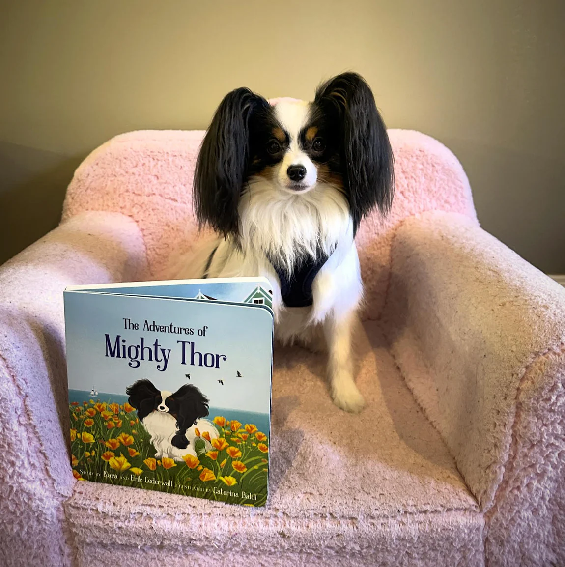The Adventures of Mighty Thor (a San Francisco book) - Image 4