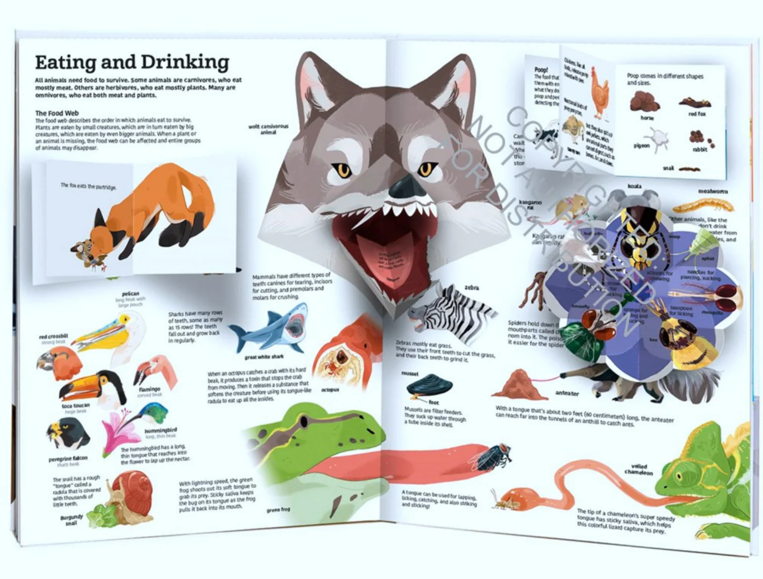 The Ultimate Book of Animals - Image 3