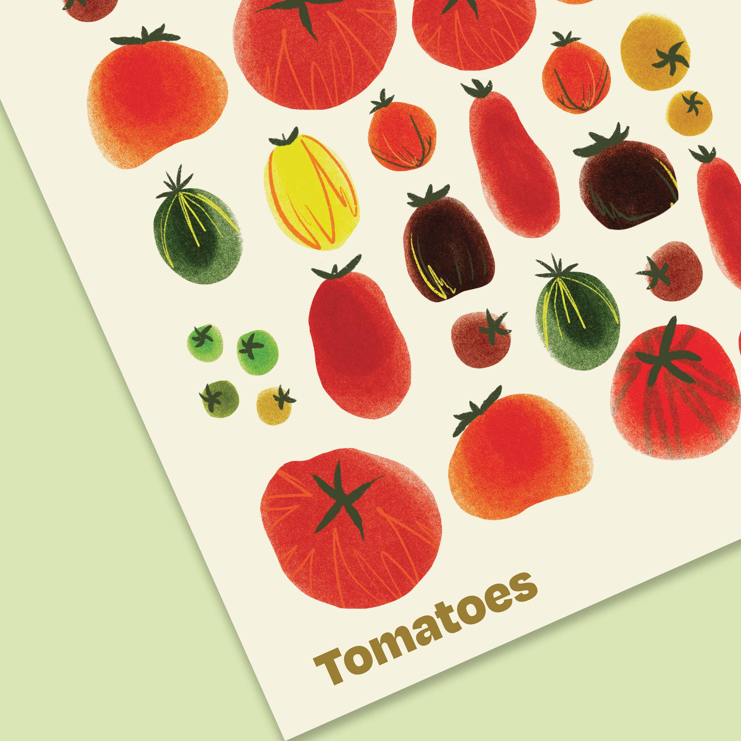 Tomatoes Unite Print -12x16" - Image 3