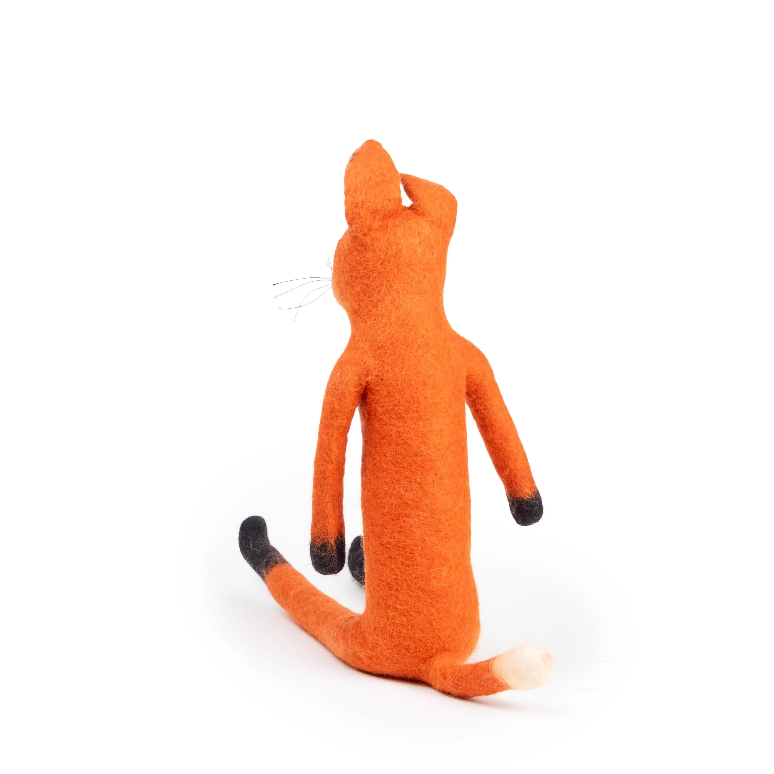 Organic Fox - Large - Image 7