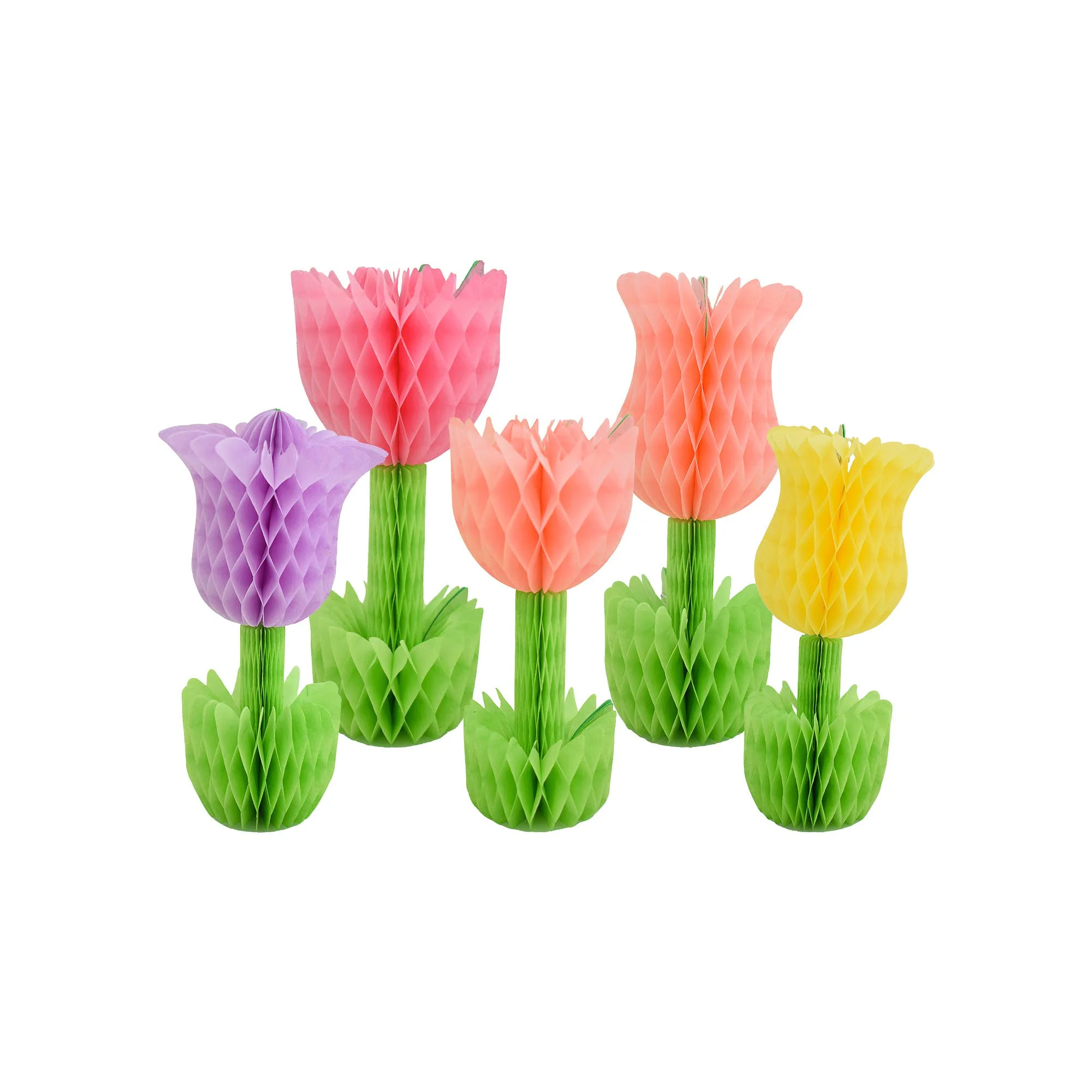 Tulip Honeycomb Set