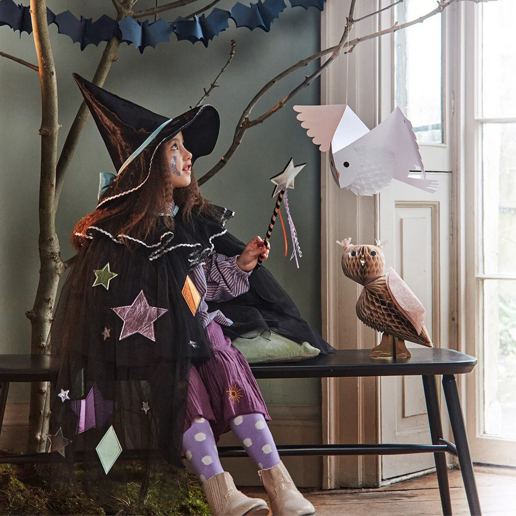 Tulle Appliqué Witch Cape, Hat & Wand