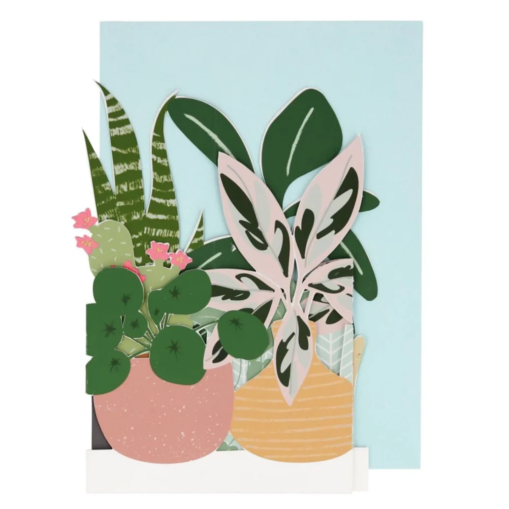 House Plant Concertina Card - Image 2
