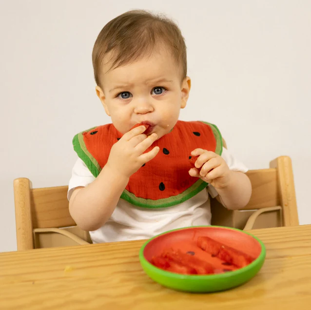 Wally The Watermelon Plate & Spoon Set - Image 4