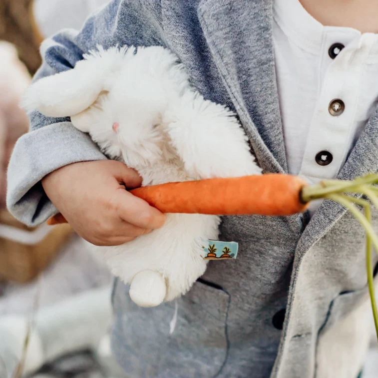 Wee Ittybit Bunny - Image 3