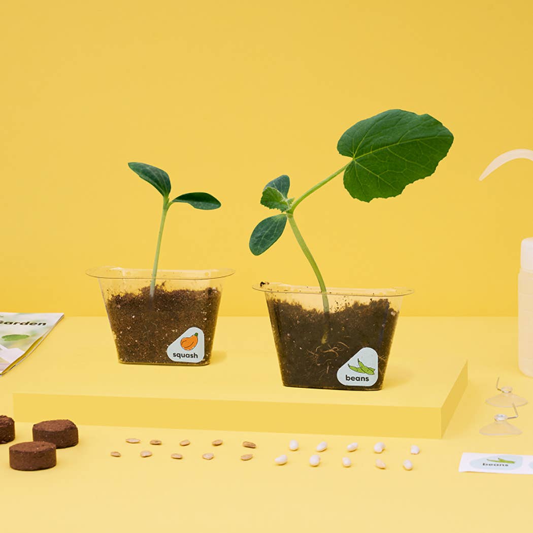 Window Garden DIY Growing Plant Kit