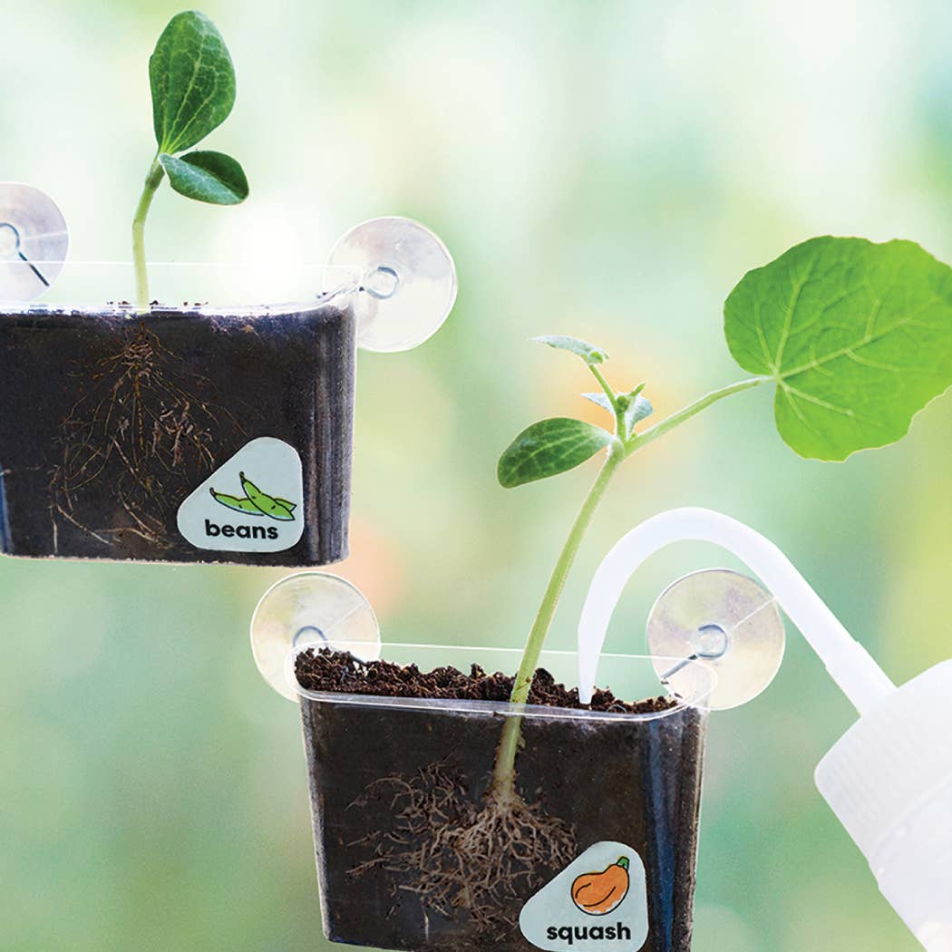 Window Garden DIY Growing Plant Kit - Image 2