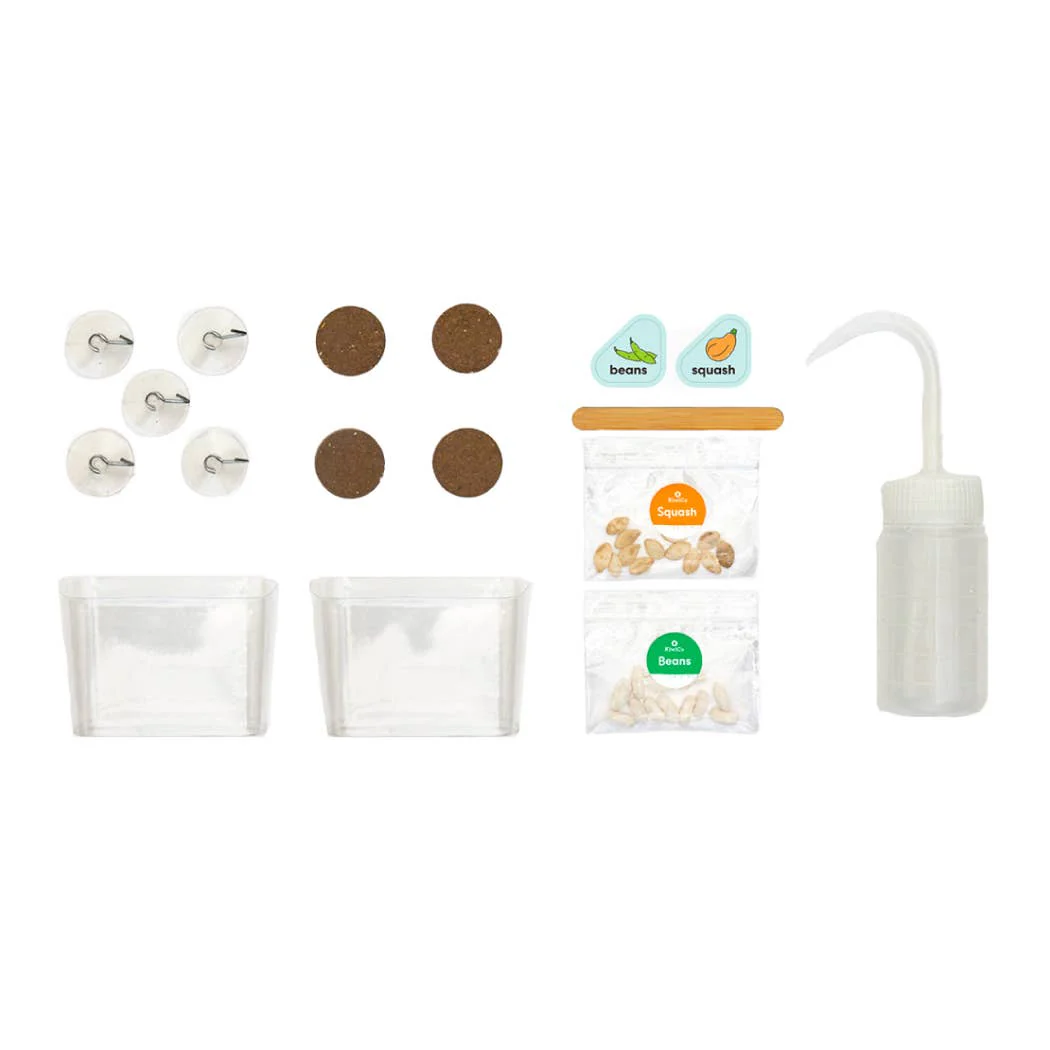 Window Garden DIY Growing Plant Kit - Image 3