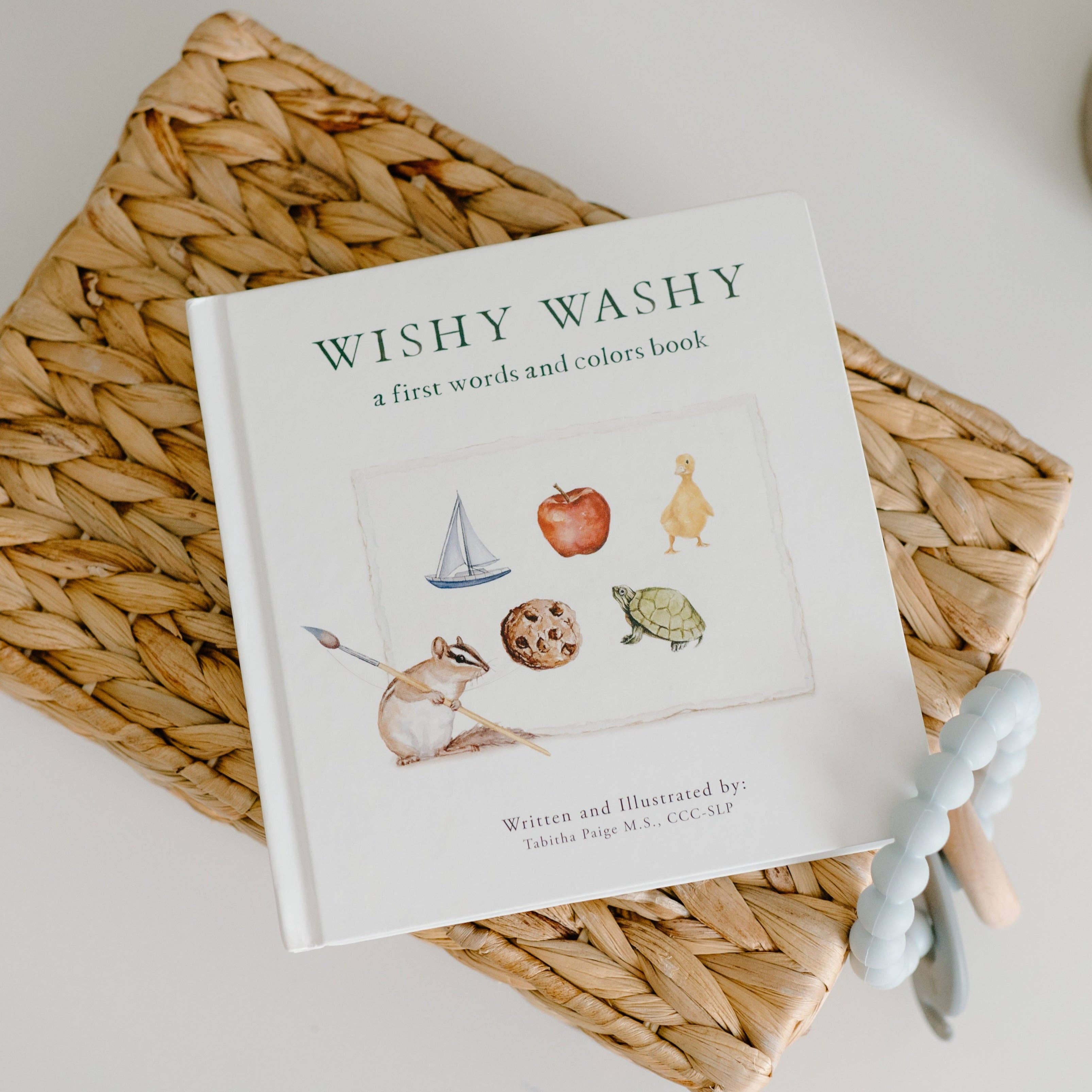Wishy Washy: A Board Book of First Words and Colors - Image 4