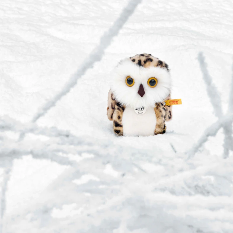 Wittie Owl - Image 2