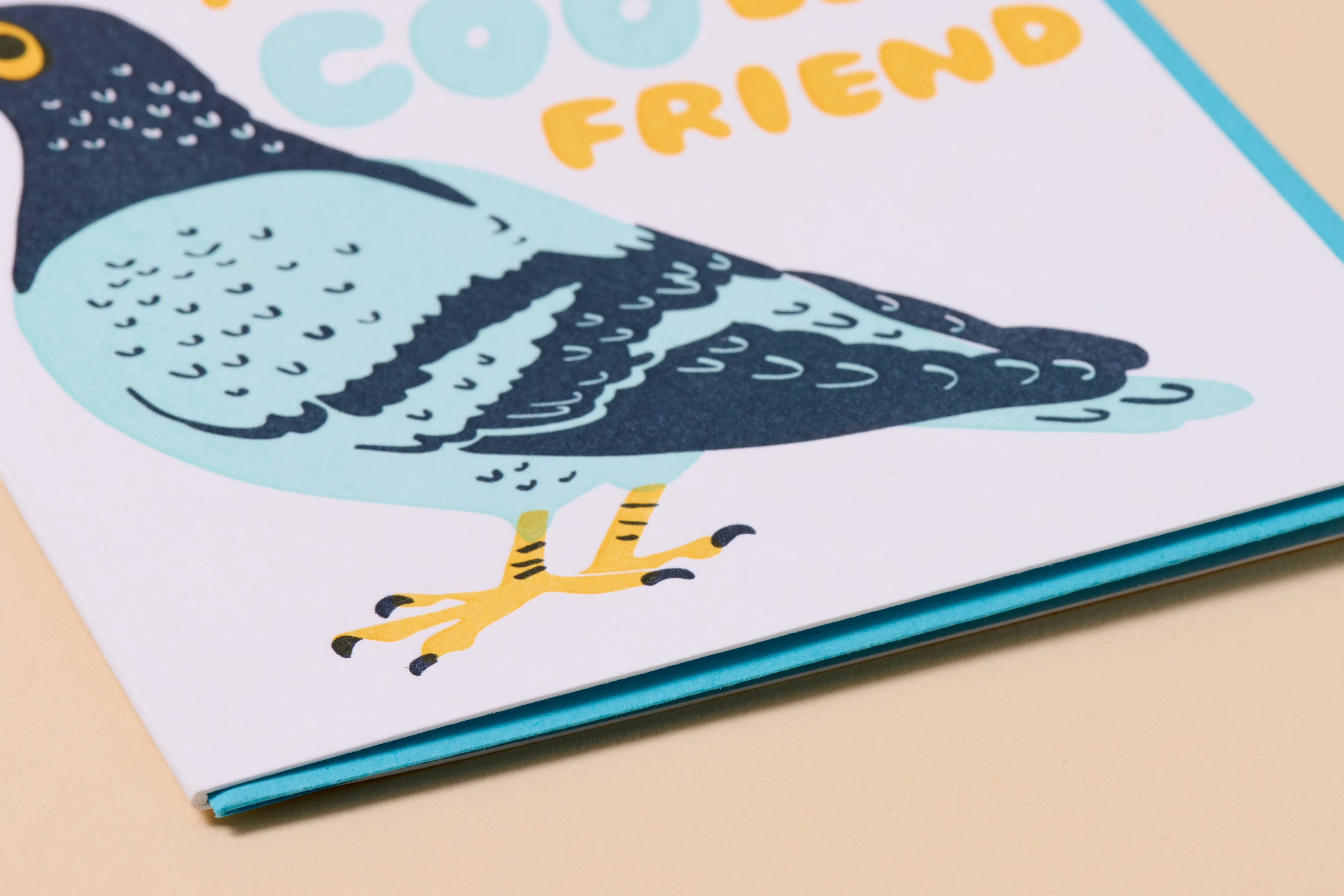 Letterpress Birthday Card – Coo Pigeon - Image 2