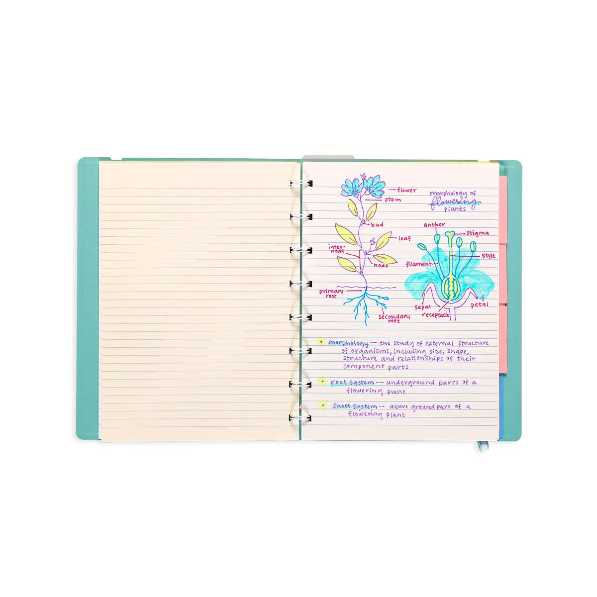 Writer's Duo Double-Ended Fountain Pens + Highlighters - Image 6